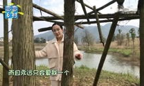 老公pk老婆dj,DJ音乐盛宴，谁将征服舞池？