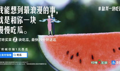 网红吃瓜视频文案,揭秘娱乐圈幕后真相