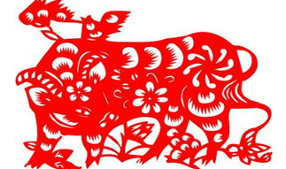 85年属什么生肖,岁月如歌,金牛岁月