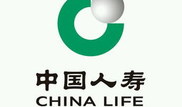 中国人寿保险公司官方网站,服务升级,守护您的幸福生活